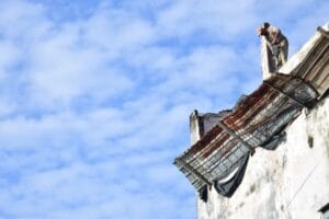 hail damage roof contractor